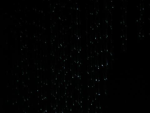 dscn2319.jpg
