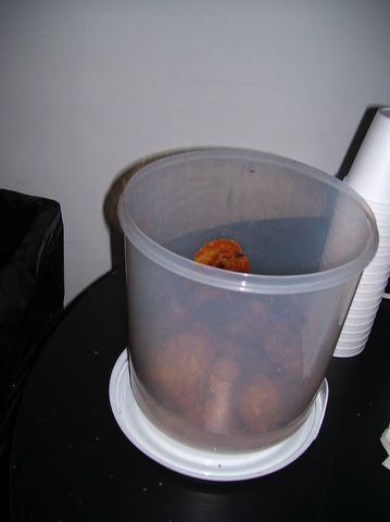 dorkbot020707_3.jpg